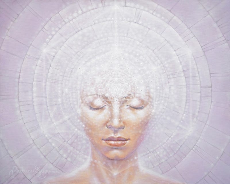 Is Enlightenment Possible?