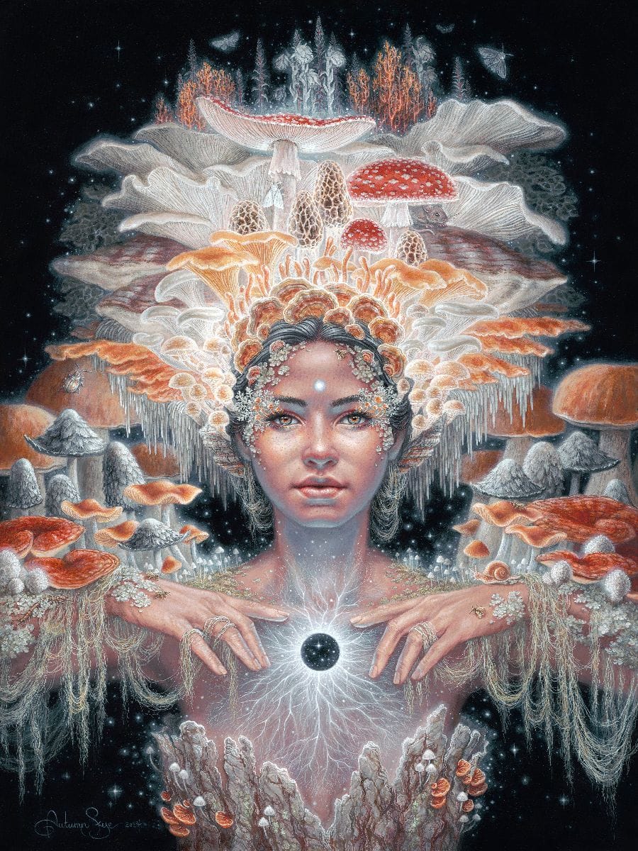 Why We Continue To Be Confused About Consciousness