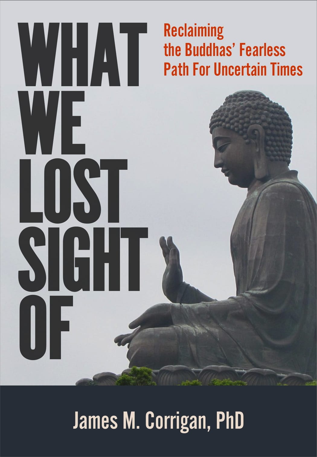 New Book Coming: What We Lost Sight Of