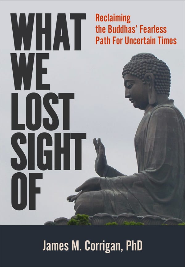 New Book Coming: What We Lost Sight Of