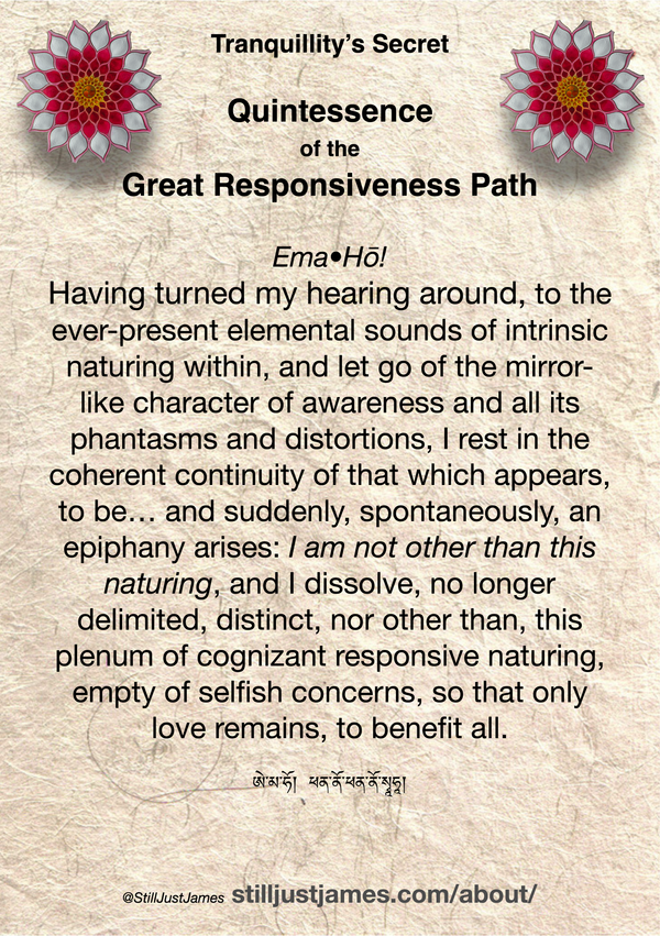 The Great Responsiveness Meditation